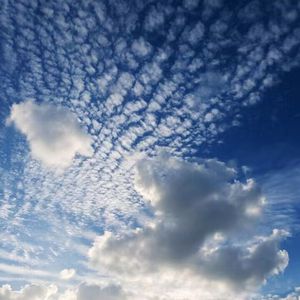 河北老太做爰HD
